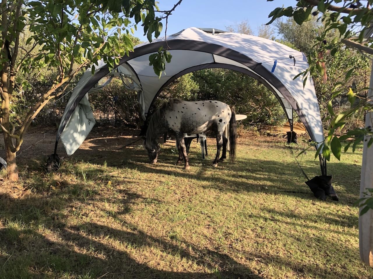 Amazon Basics Gazebo Giardino Spiaggia 3,65x3,65 m Verde