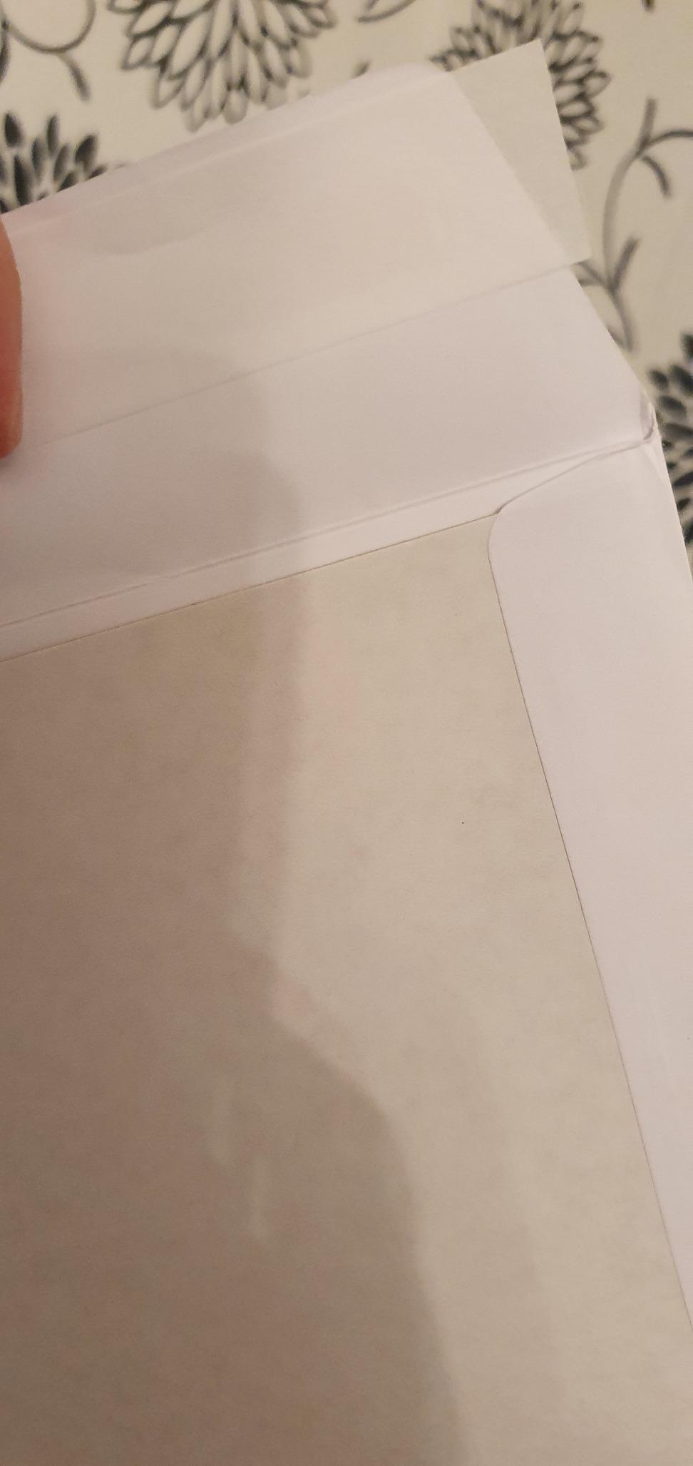 Amazon Basics Buste C4 Autosigillanti 120 g 125 Pezzi