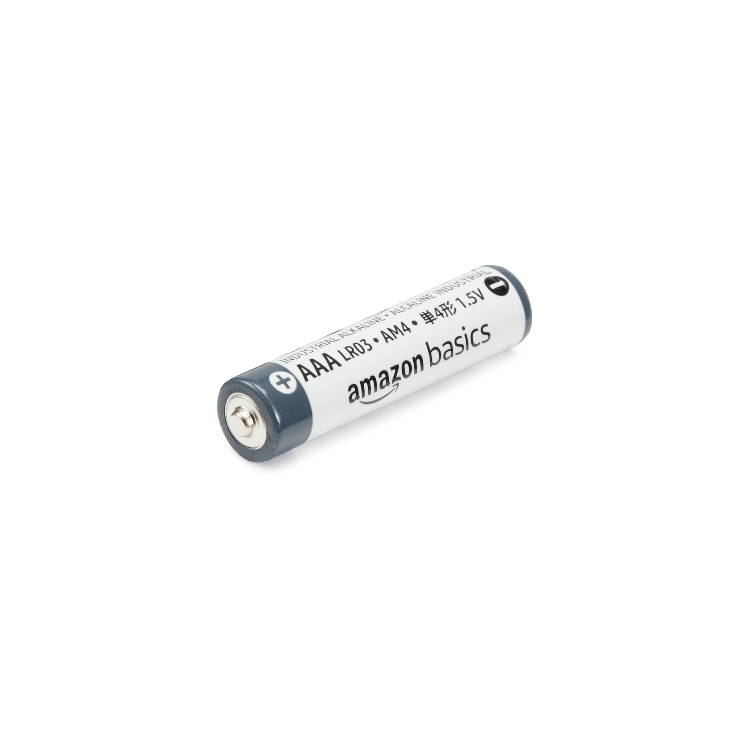 Amazon Basics Batterie Alcaline AAA 300 Pezzi Industriali
