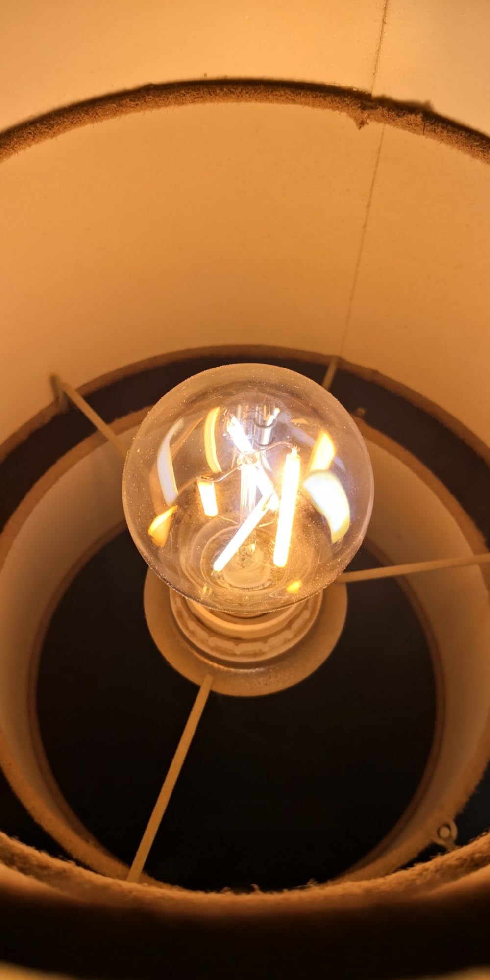 AmazonBasics Lampadina Smart Filamento LED A60 Alexa