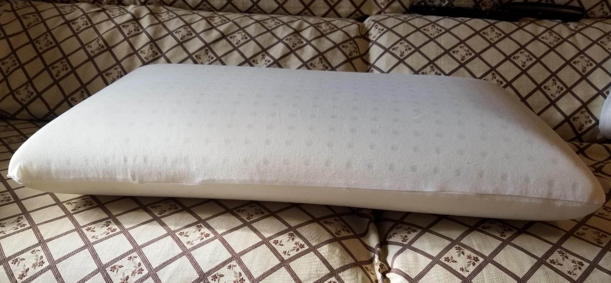Amazon Basics cuscino memory foam aloe vera 70x42