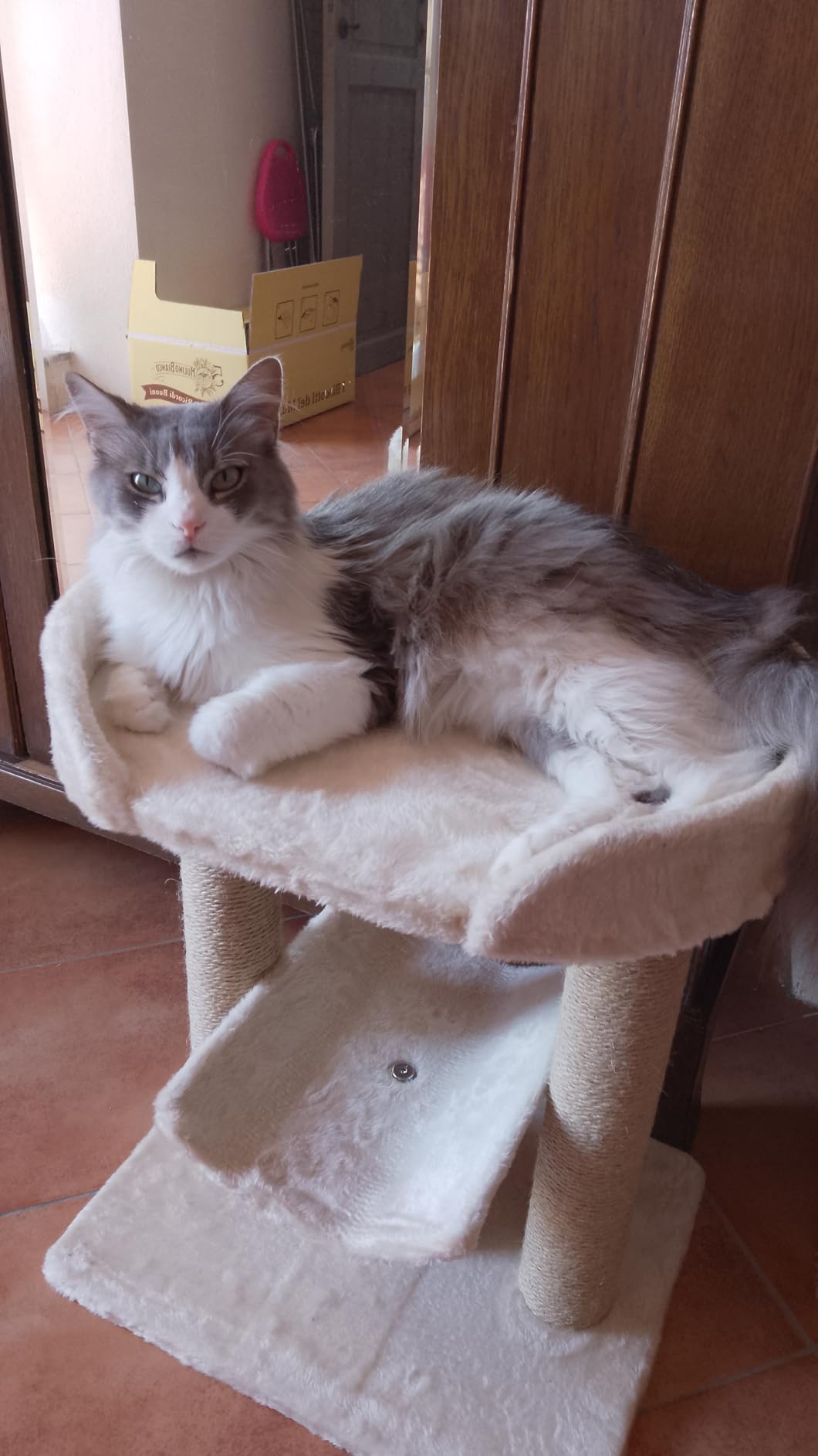 Amazon Basics Albero per Gatti Beige con Tiragraffi Iuta