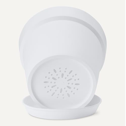 Amazon Basics Vaso per Piante Bianco 14 cm con Sottovaso