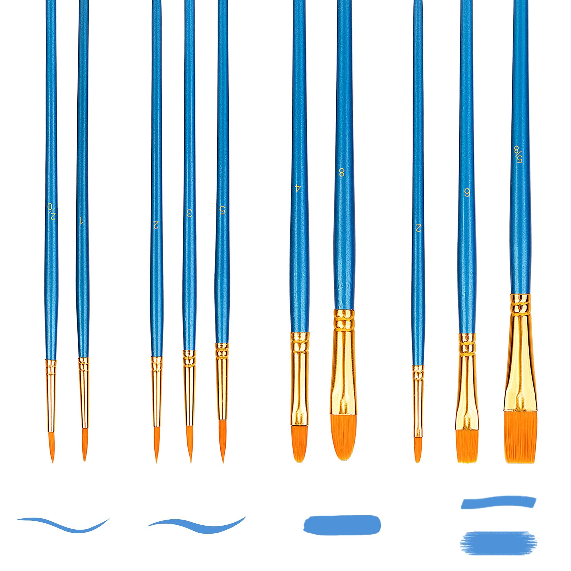 AmazonBasics Set 10 Pennelli Pittura Blu Acrilico