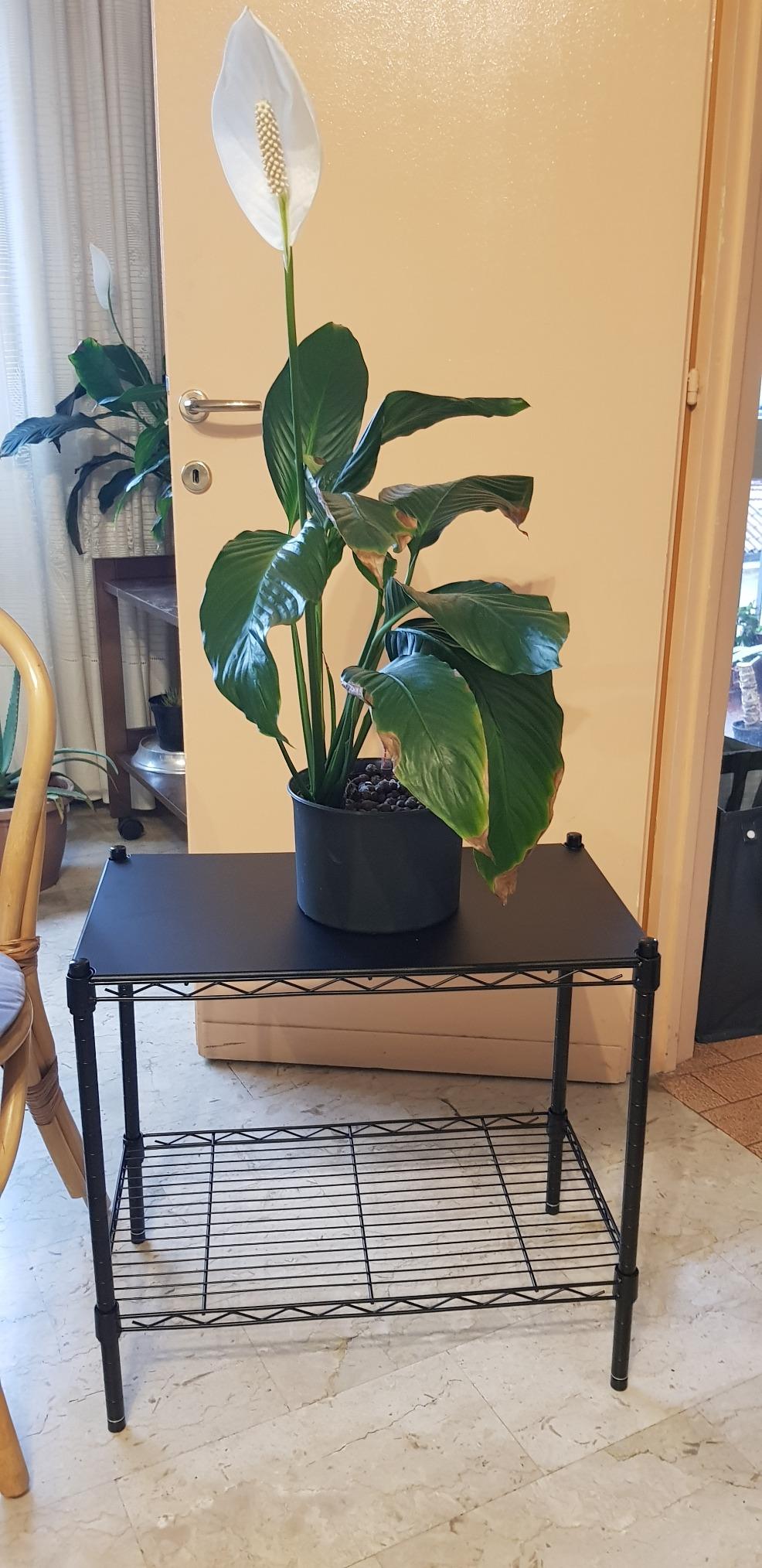 AmazonBasics Scaffale Impilabile 2 Ripiani Nero Metallo