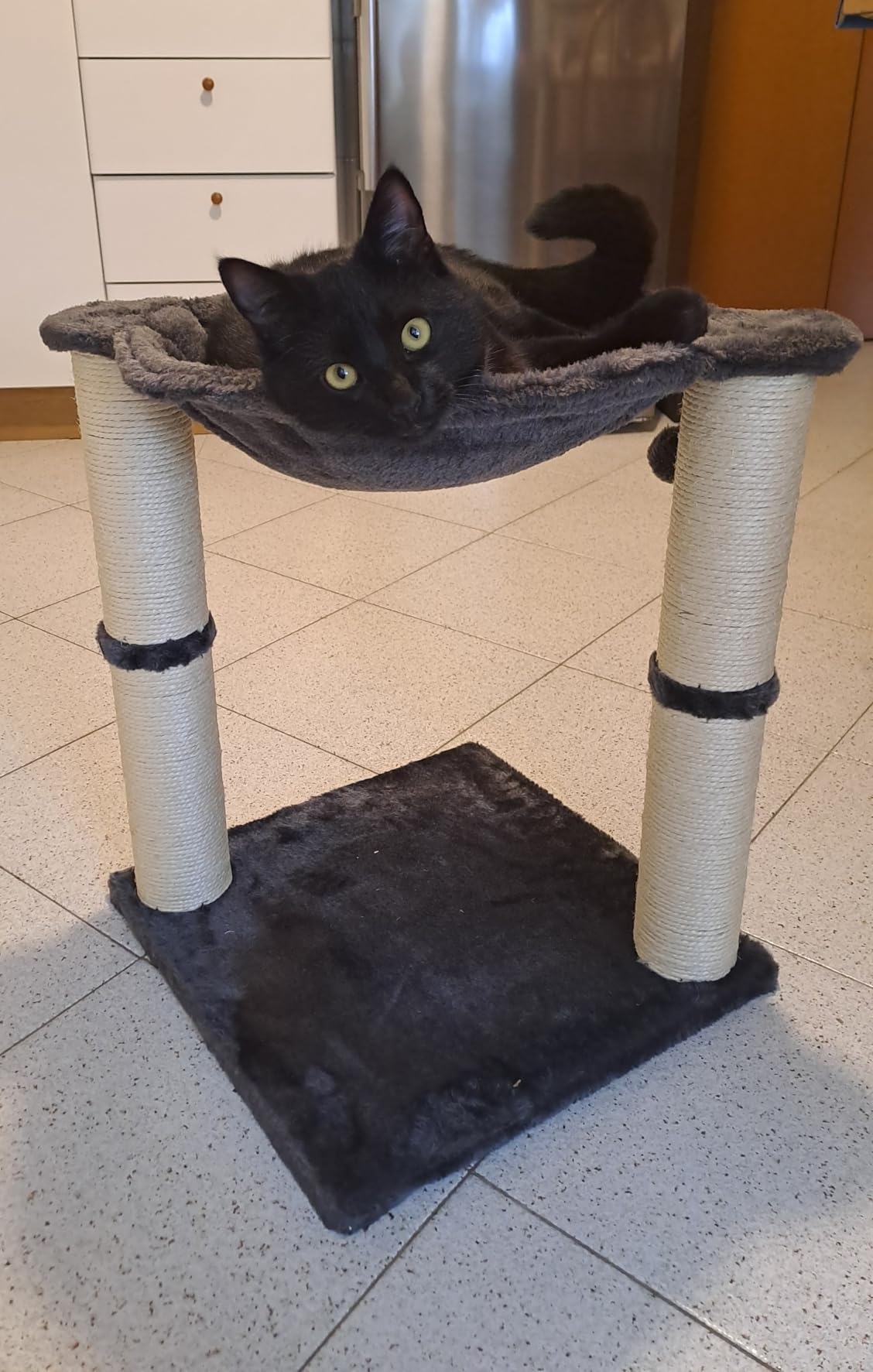 AmazonBasics Albero per Gatti con Amaca Tiragraffi Grigio