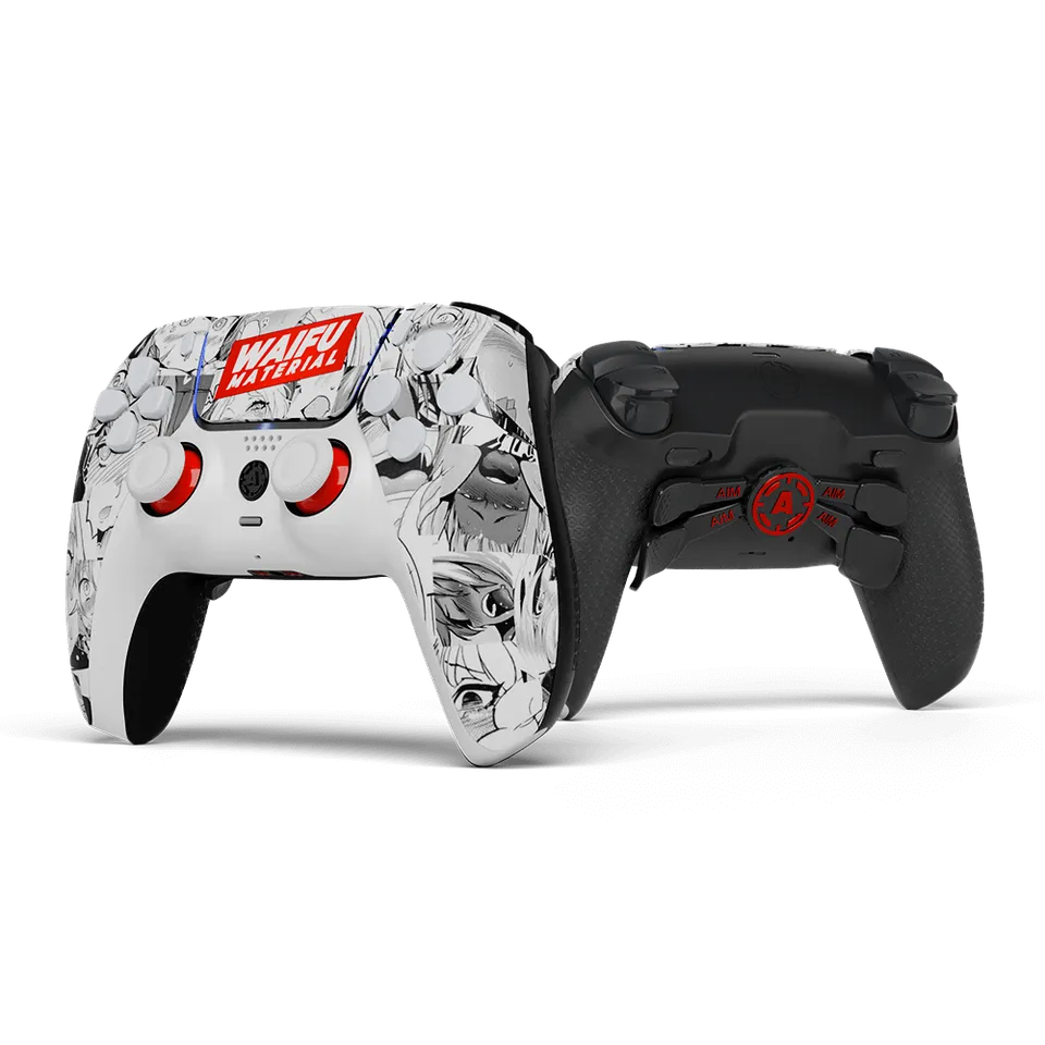 Aim Controller Waifu controller PC MH5 personalizzato