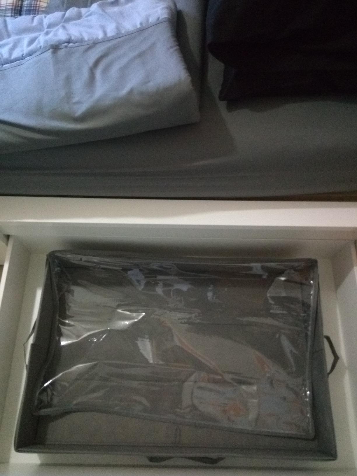 AmazonBasics Contenitore Sottoletto 77x51cm Grigio 2 Pezzi