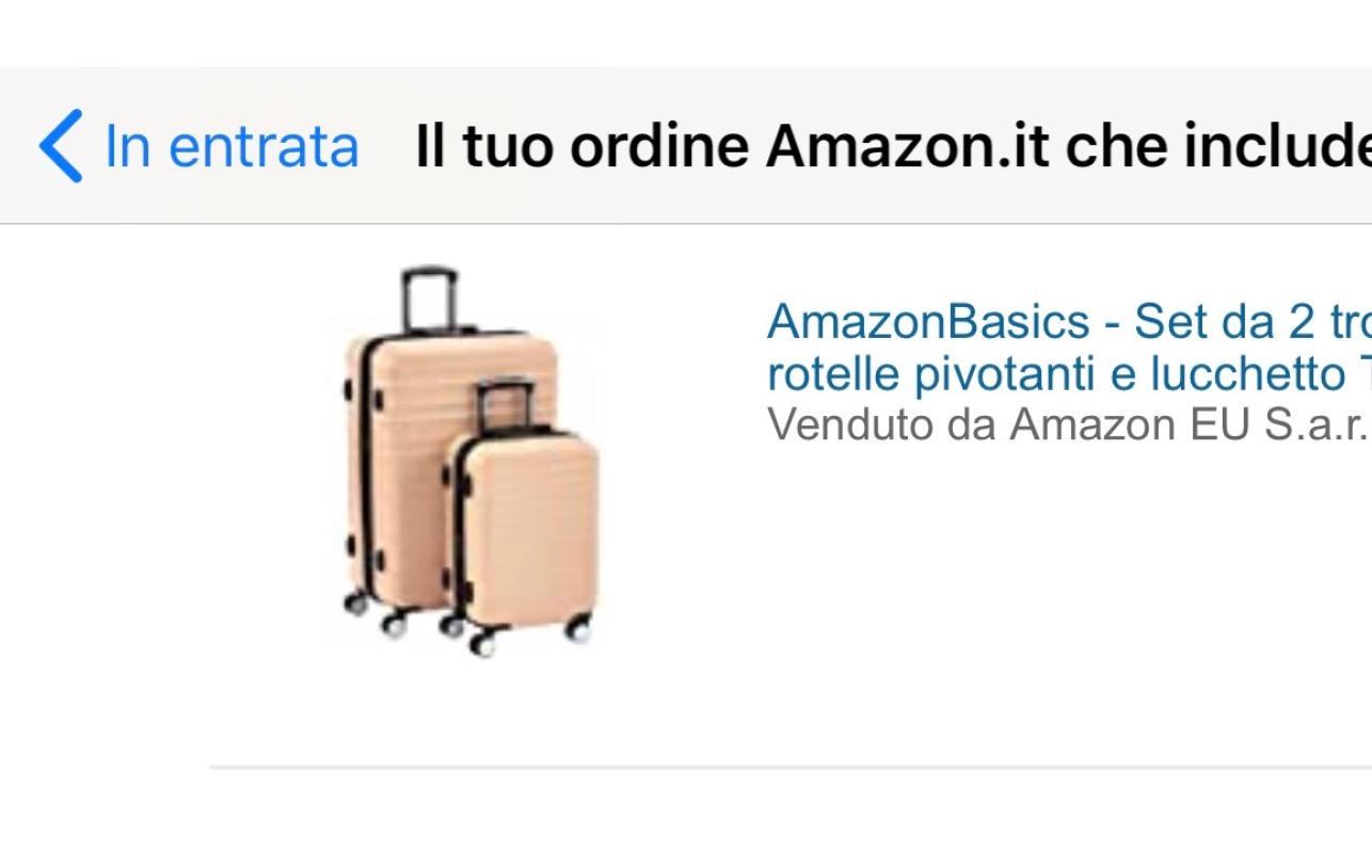 Amazon Basics Set 2 Trolley Rigidi 55+78 cm Nero TSA