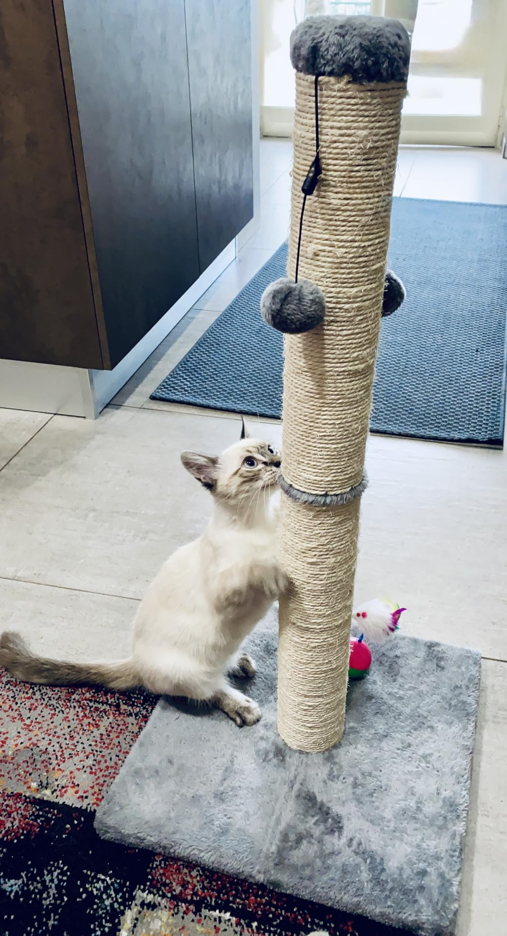 AmazonBasics Tiragraffi gatti standard 80 cm grigio juta