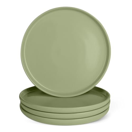 Amazon Basics Set 4 Piatti Piani Ceramica 27cm Verde