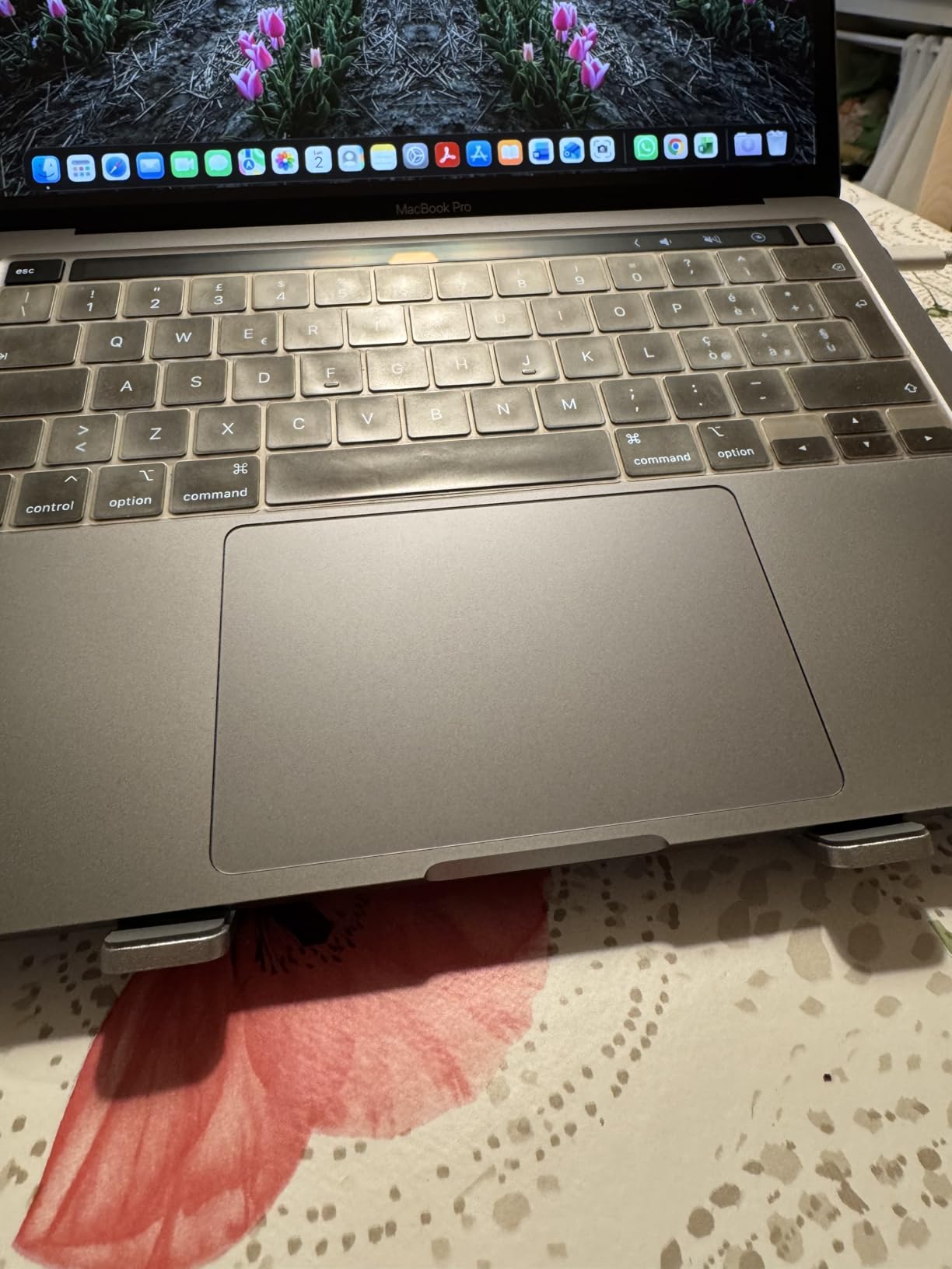 Amazon Basics supporto laptop alluminio 10-15,6" argento 6 angoli