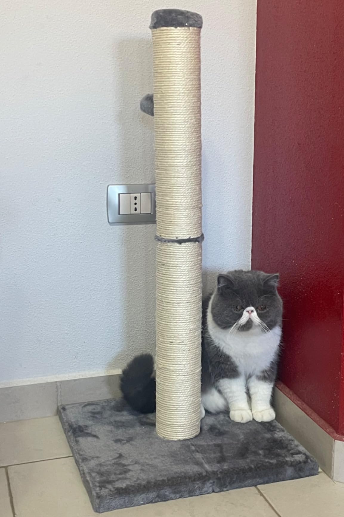 AmazonBasics Tiragraffi gatti standard 80 cm grigio juta
