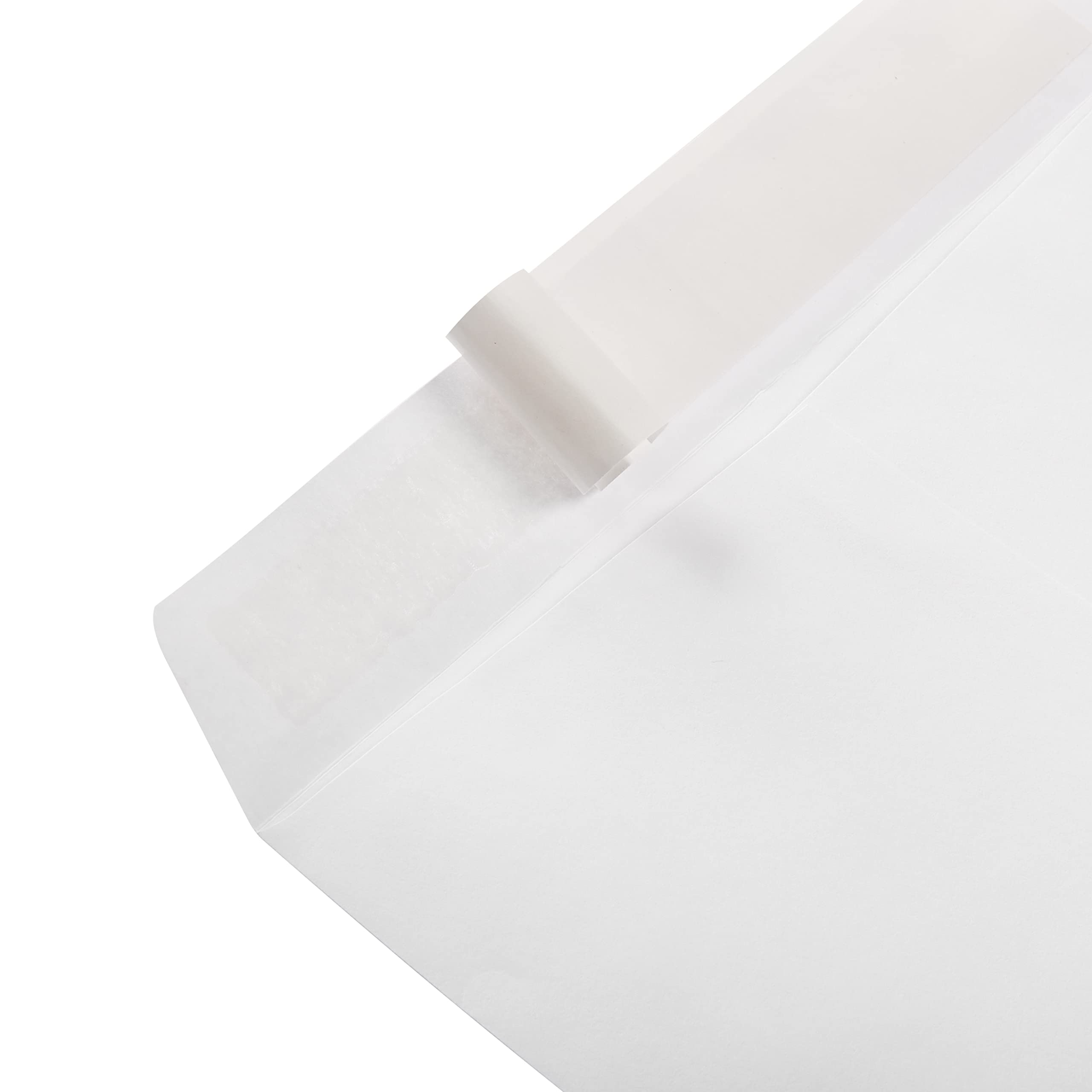 Amazon Basics Buste Catalogo Adesive 100 Pezzi Bianco