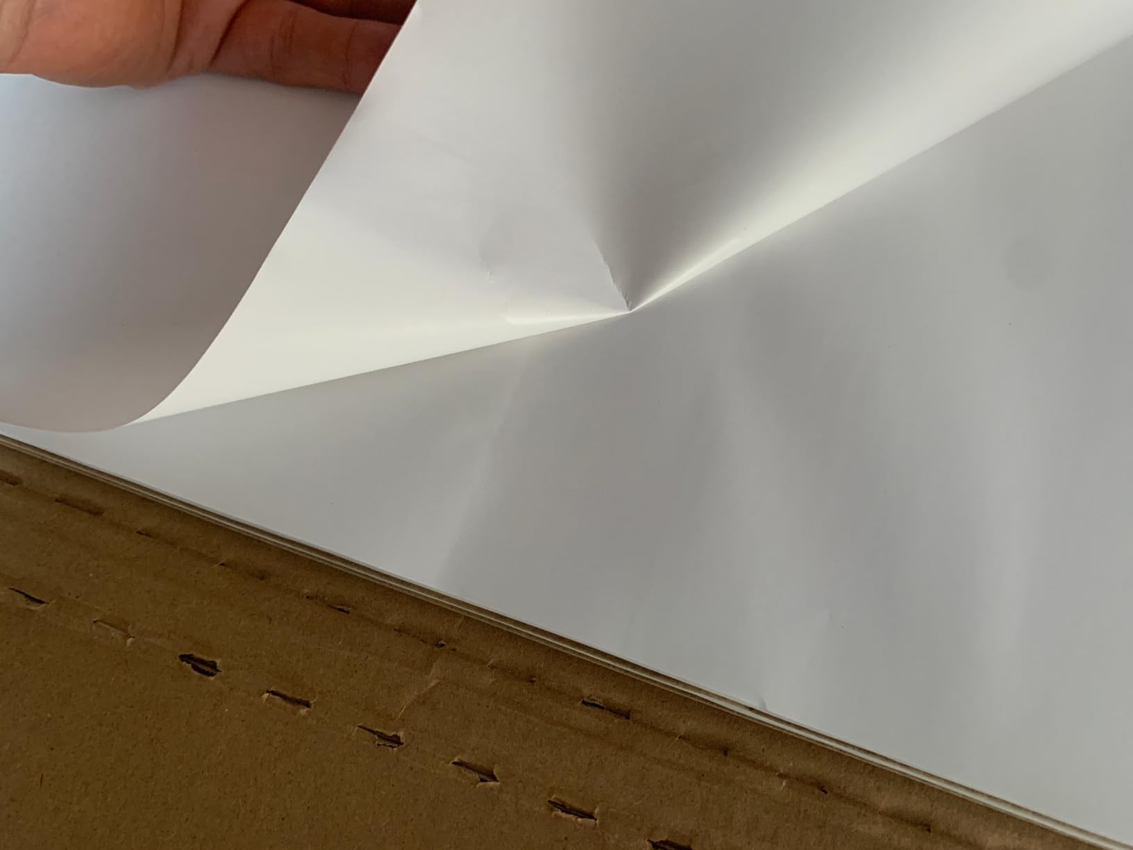 AmazonBasics Blocchi Fogli Ribaltabili 63,5x76,2 cm 2 Pezzi Bianchi