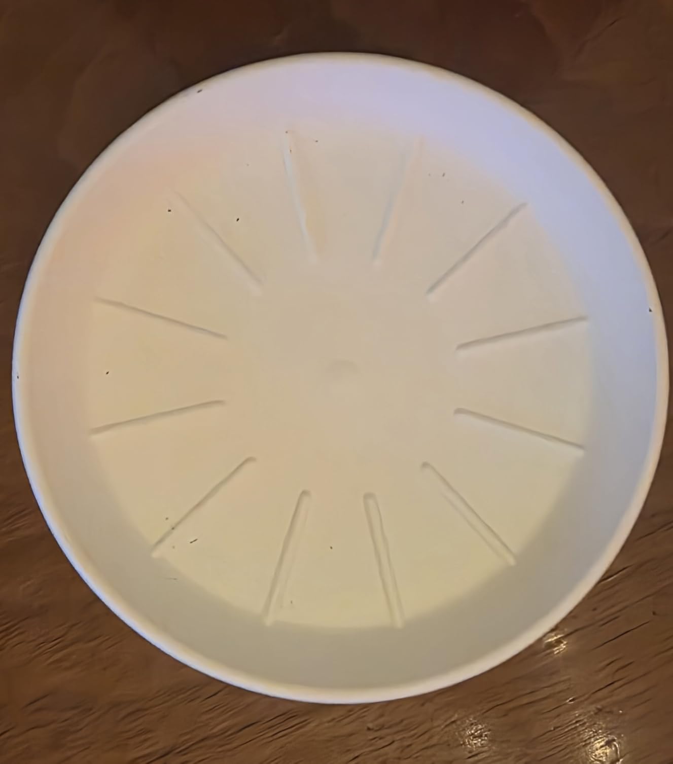 Amazon Basics Vaso per Piante Bianco 14 cm con Sottovaso