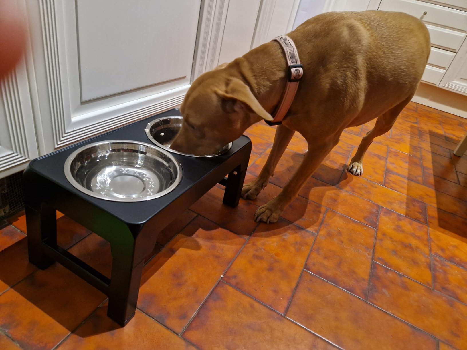 Amazon Basics supporto ciotole cane rialzato nero regolabile