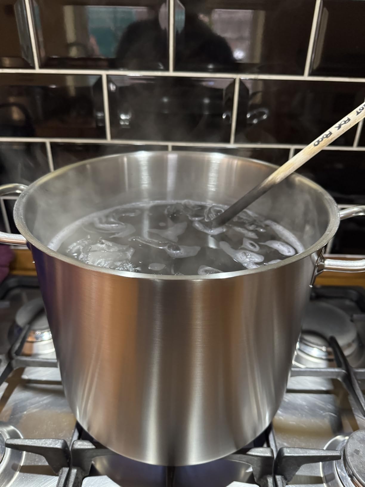 AmazonBasics Pentola Acciaio Inox 9,5 Litri con Coperchio