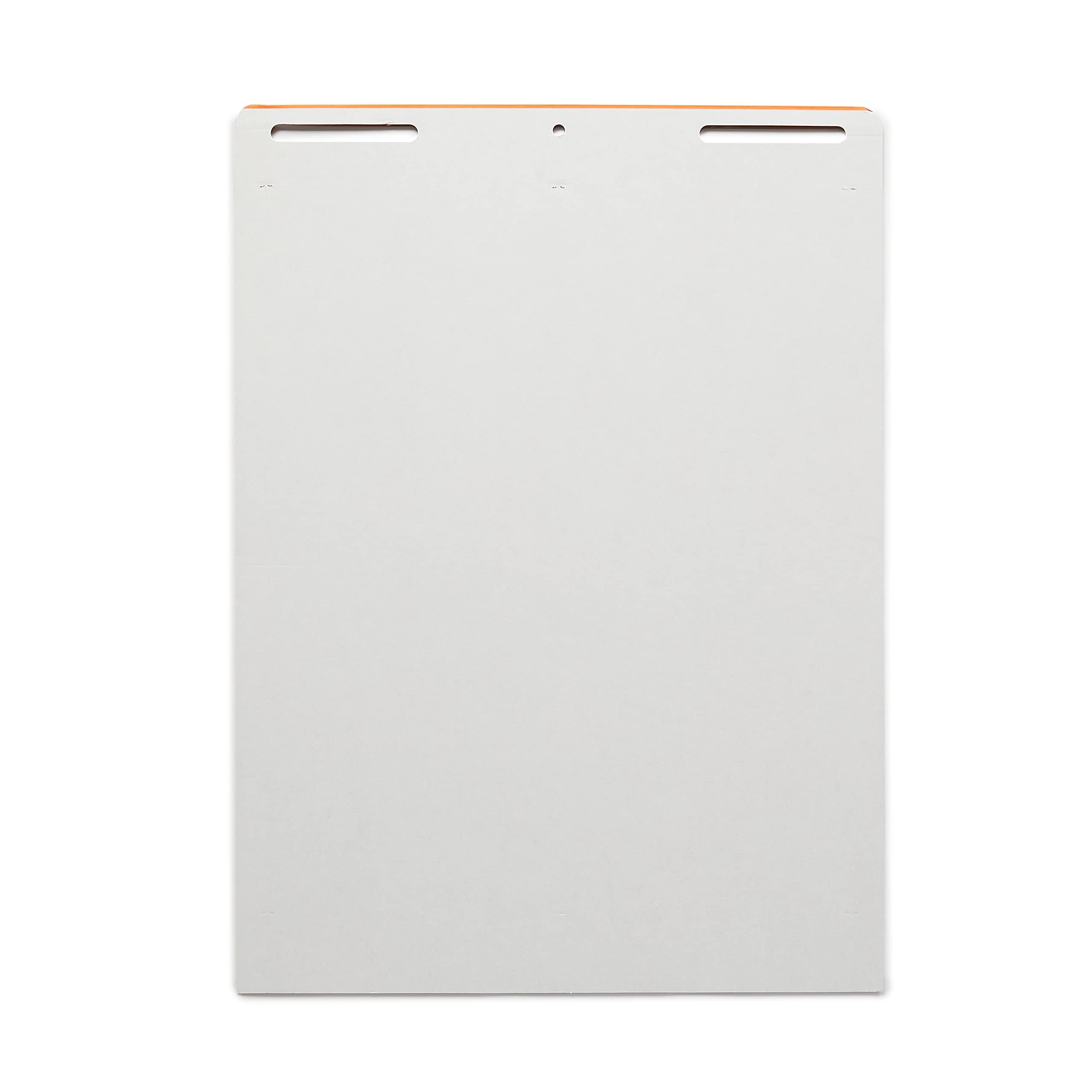 AmazonBasics Blocchi Fogli Ribaltabili 63,5x76,2 cm 2 Pezzi Bianchi