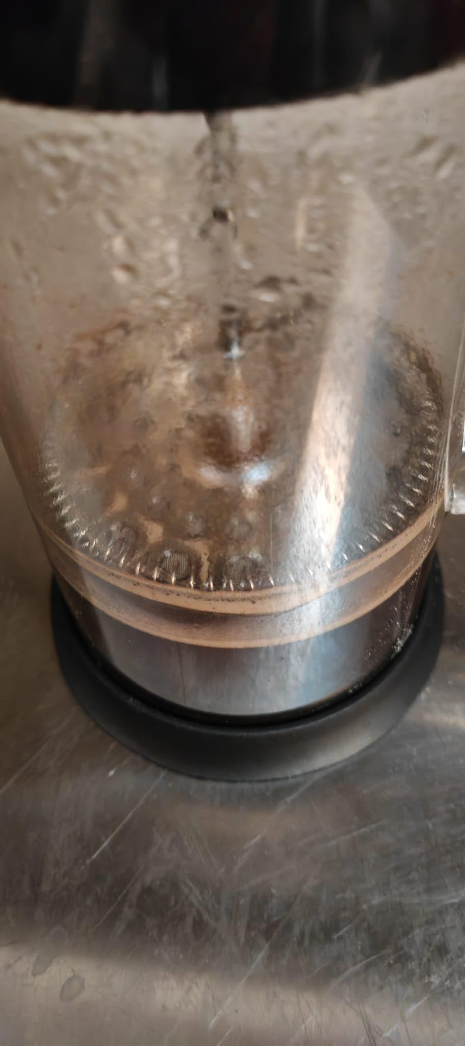 Amazon Basics caffettiera stantuffo vetro 1L 6 tazze