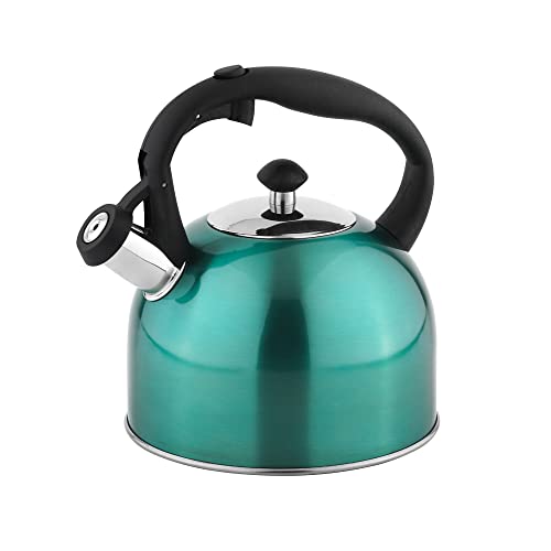 Amazon Basics Bollitore Acciaio Inox 2,3 L Blu Foglia Tè