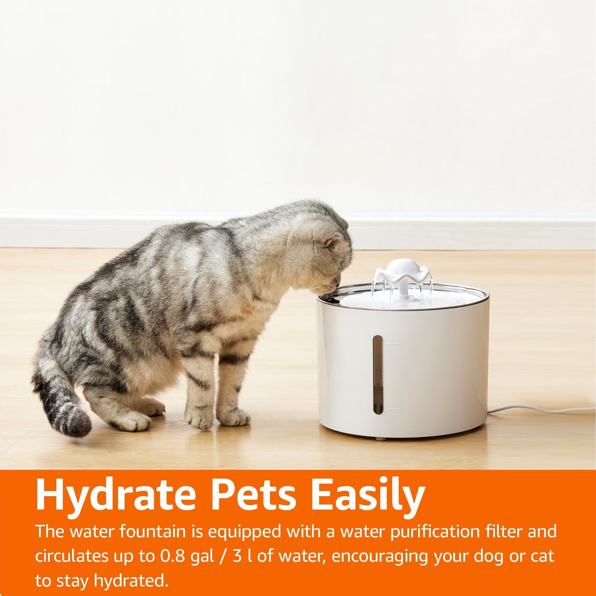 Amazon Basics fontana acqua gatti 3 L acciaio inox bianca
