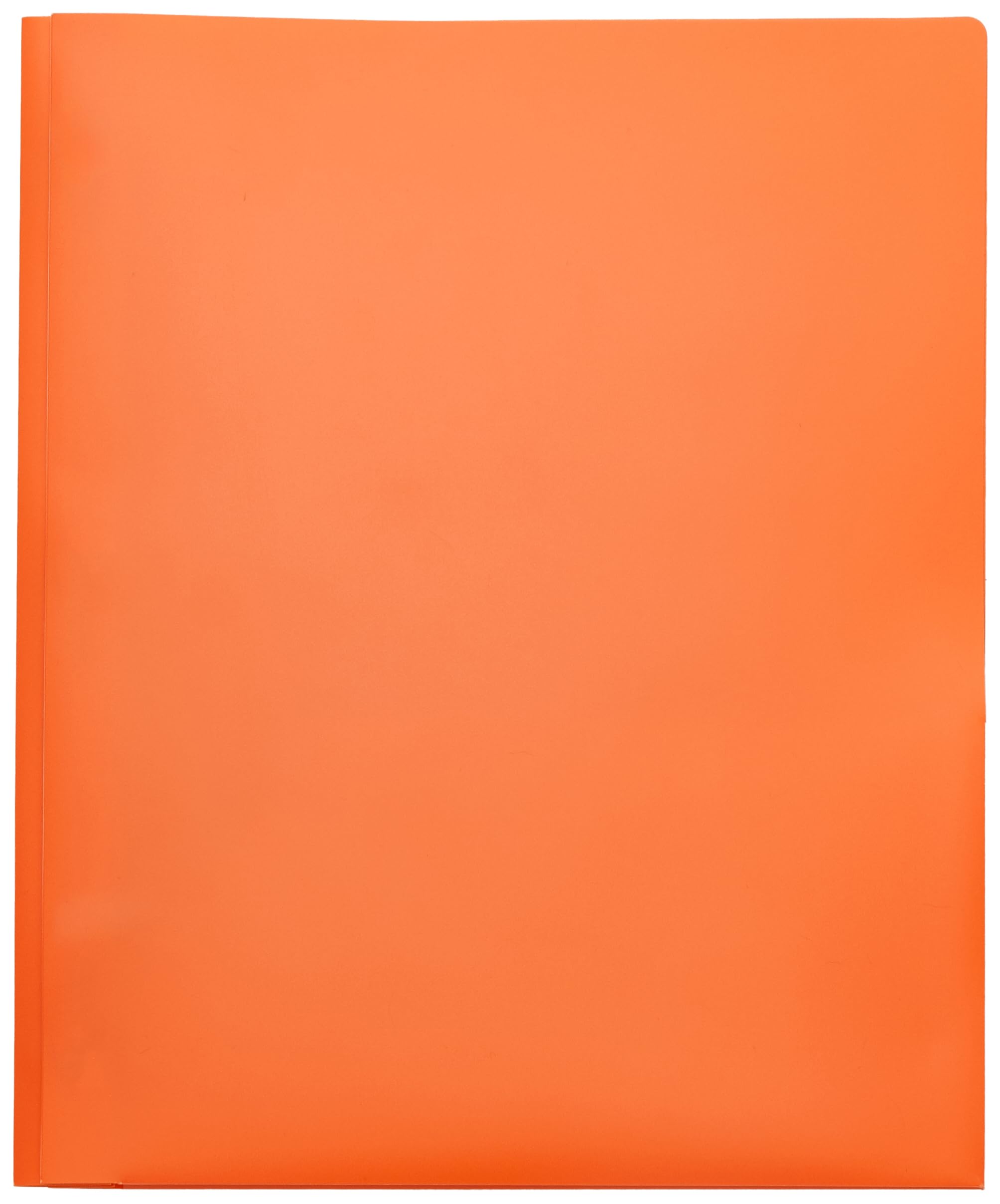 Amazon Basics Cartelle Plastica con Tasche 12 Pezzi Colori