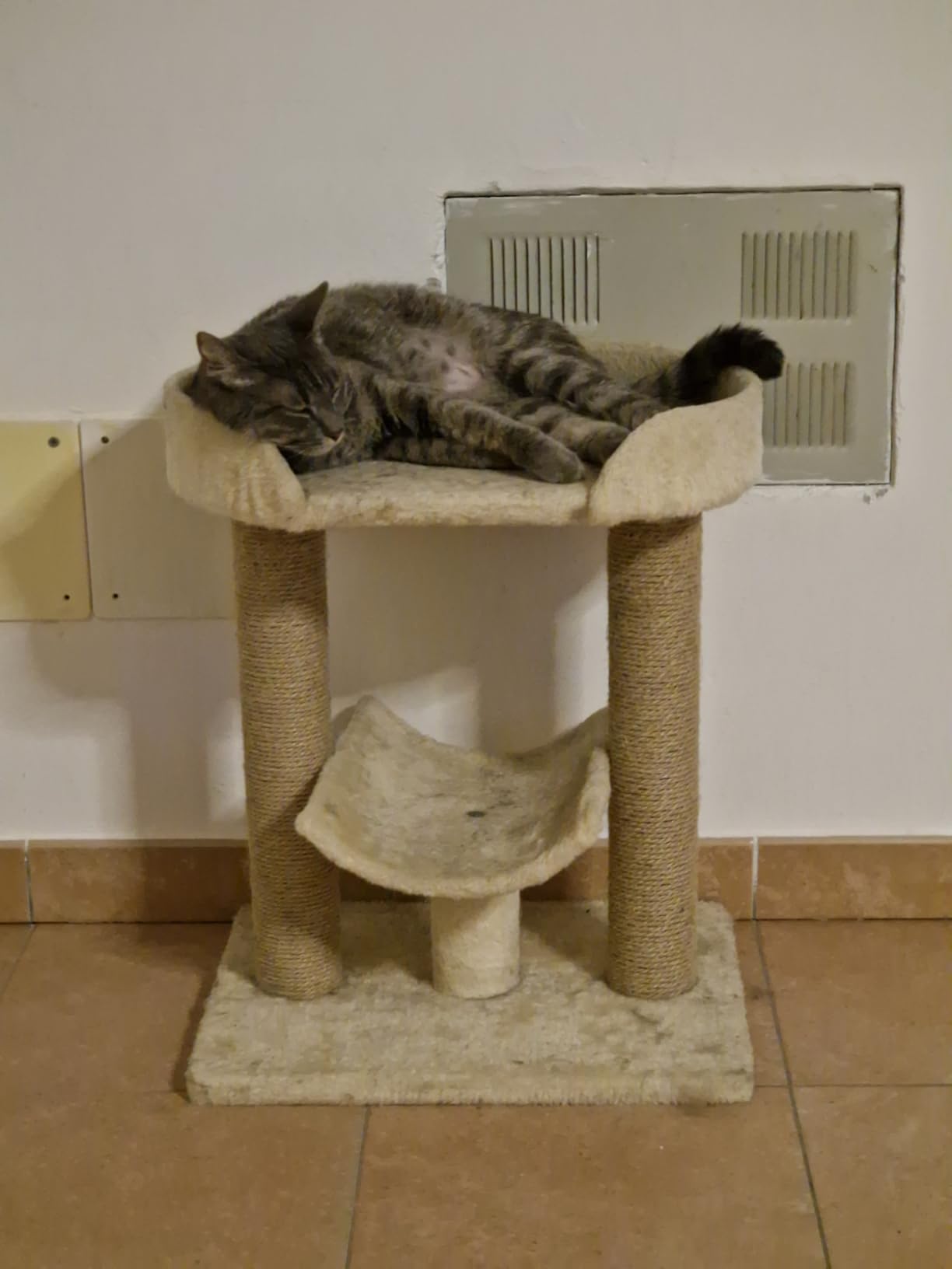 Amazon Basics Albero per Gatti Beige con Tiragraffi Iuta