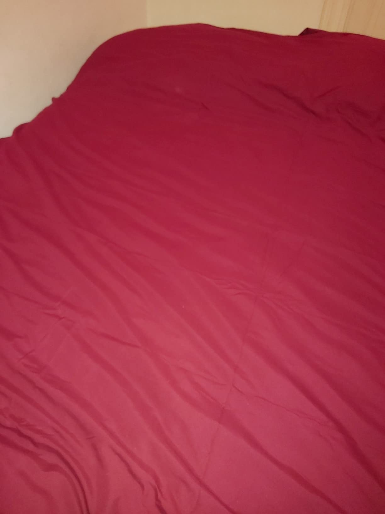 AmazonBasics Set Copripiumino Microfibra Bordeaux Matrimoniale