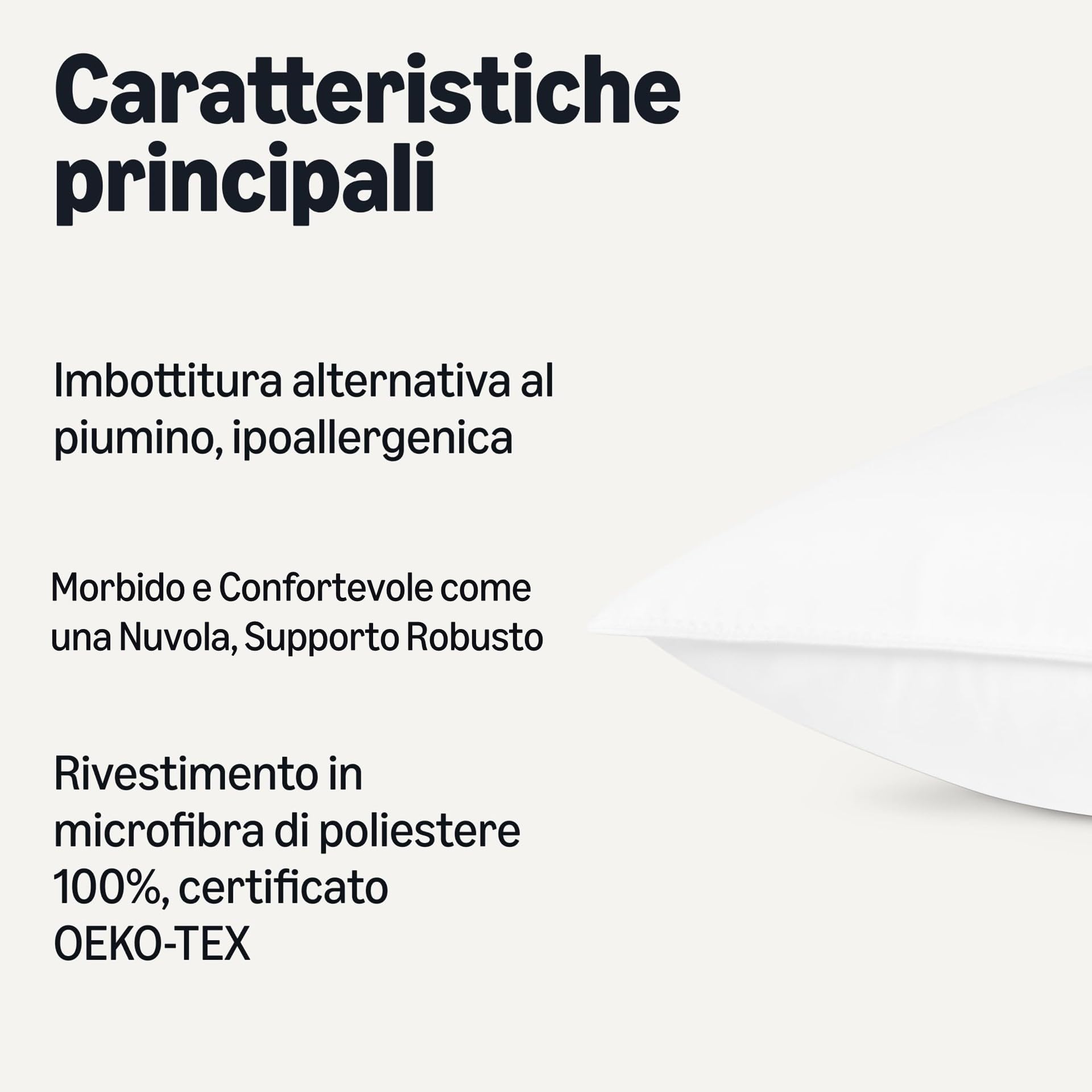 Amazon Basics inserti cuscino 45x45 set 2 bianco ipoallergenico