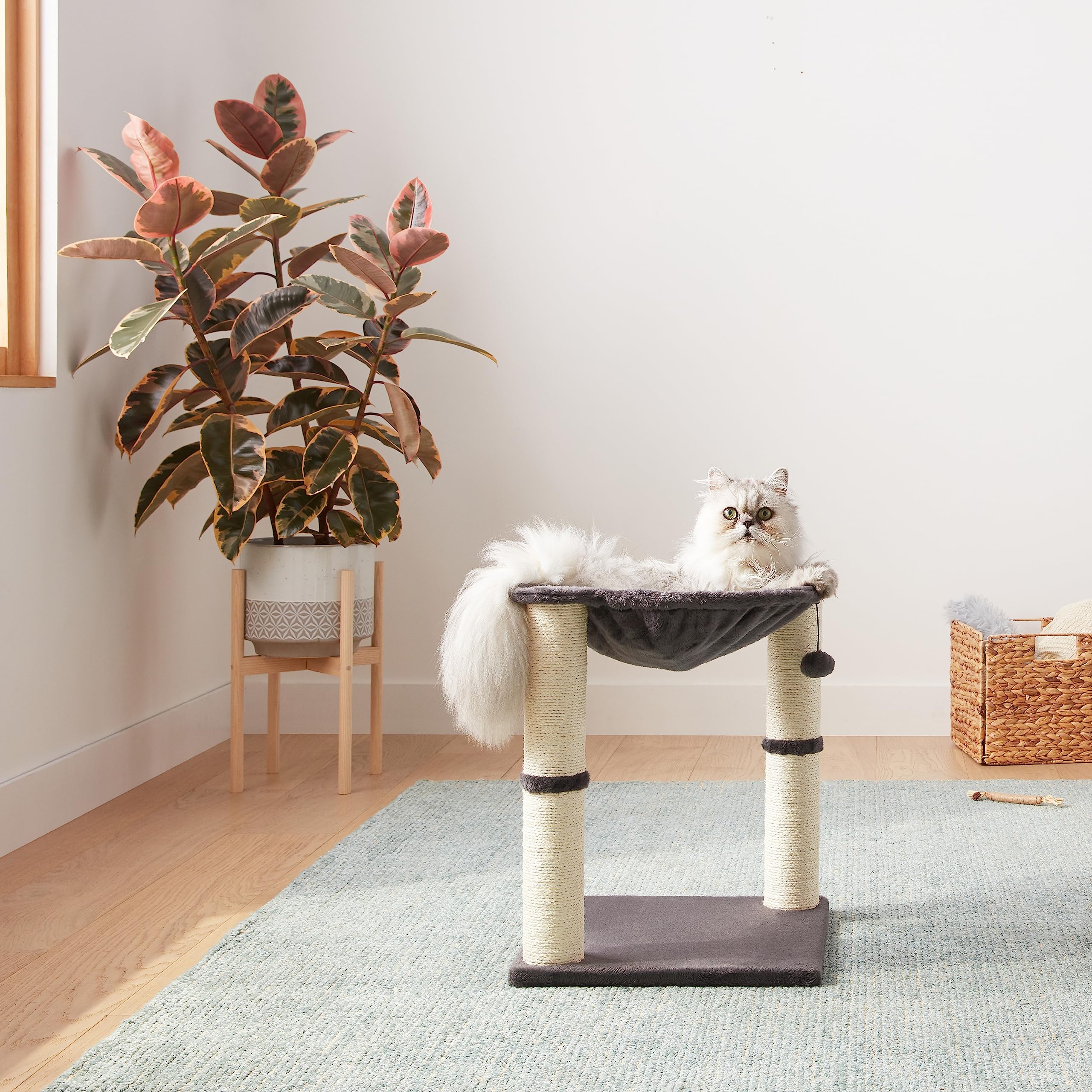 AmazonBasics Albero per Gatti con Amaca Tiragraffi Grigio