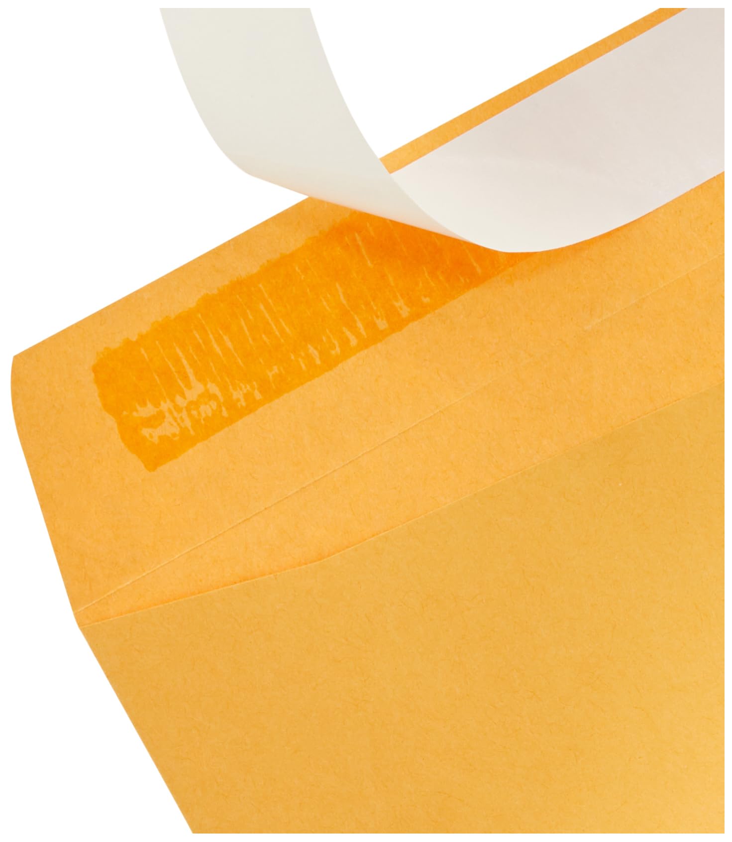 AmazonBasics Buste Catalogo Kraft Adesive 22,9x30,5cm 100 Pezzi