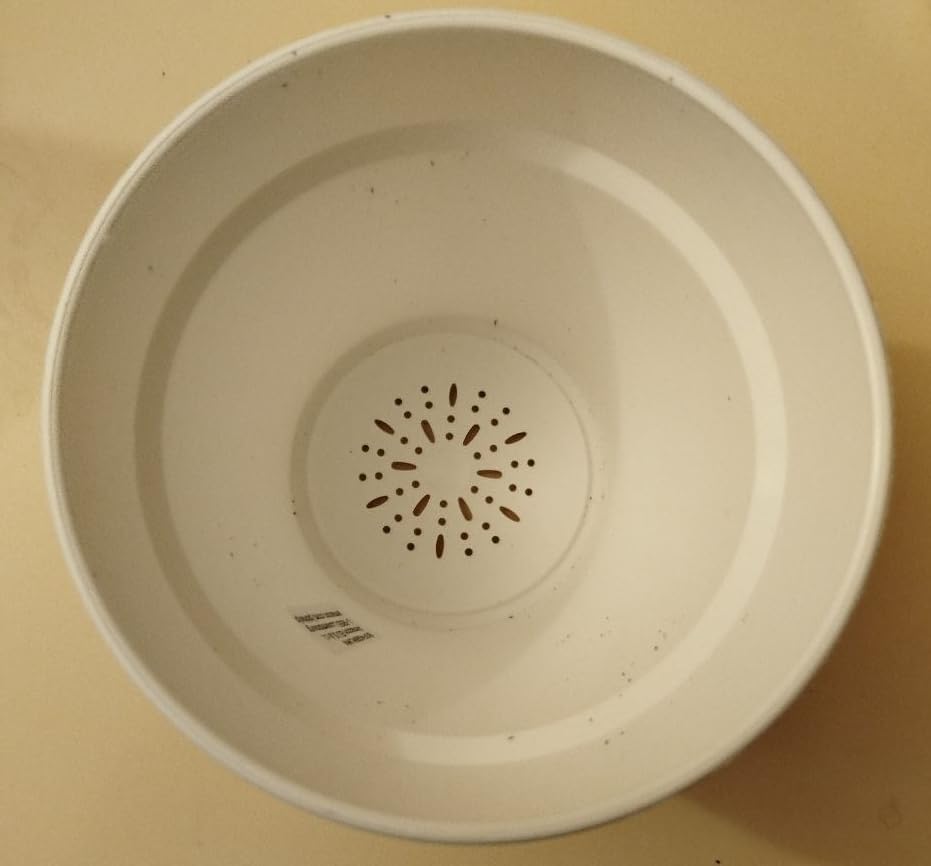 Amazon Basics Vaso per Piante Bianco 14 cm con Sottovaso