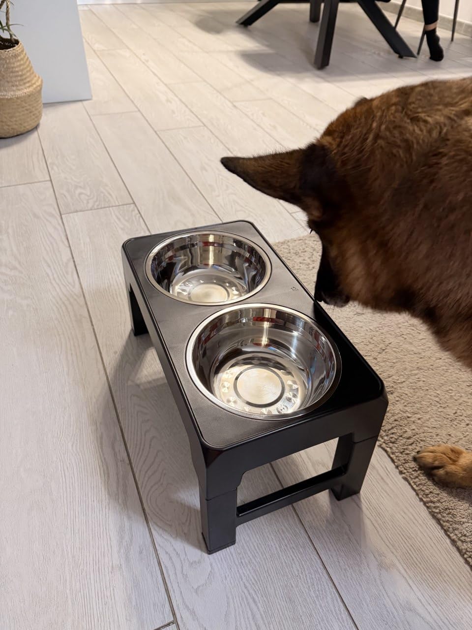 Amazon Basics supporto ciotole cane rialzato nero regolabile