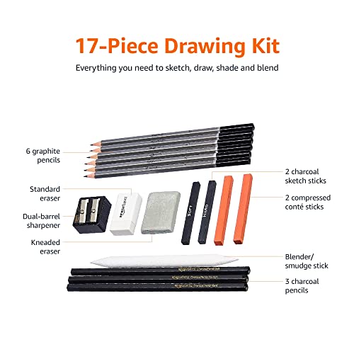 Amazon Basics Set Disegno Carboncino 17 pezzi grafite e carboncini