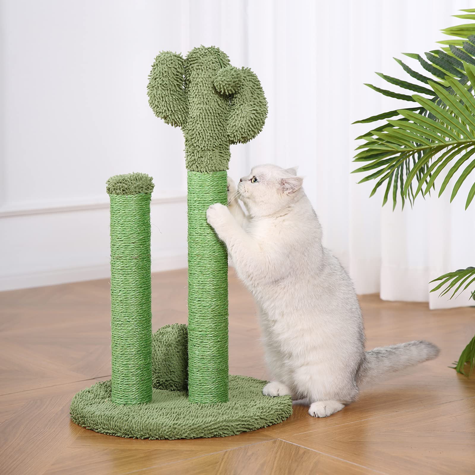 Amazon Basics Tiragraffi Cactus Grande 68 cm Verde Sisal