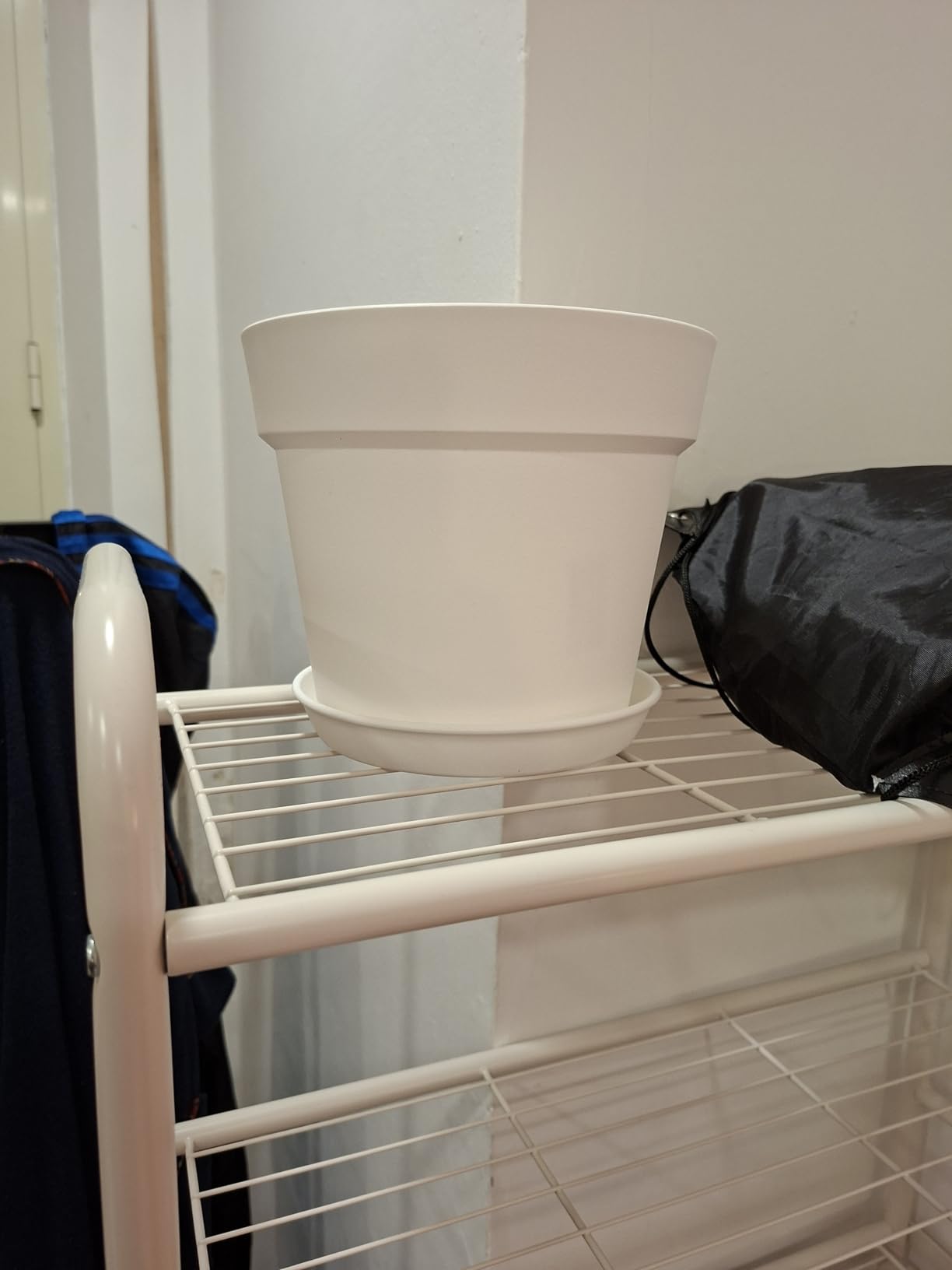 Amazon Basics vaso per piante 20,3 cm bianco con sottovaso