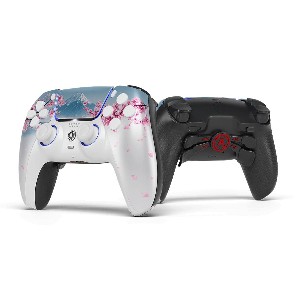 Aim Controller Fuji controller PS5 tinta unita