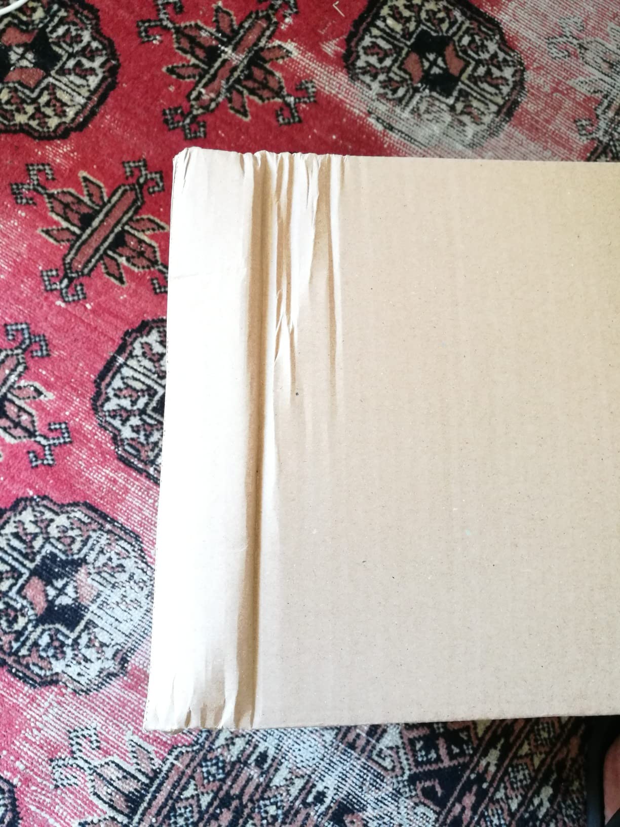 AmazonBasics Buste Imbottite Oro 100x165 mm 100 Pezzi