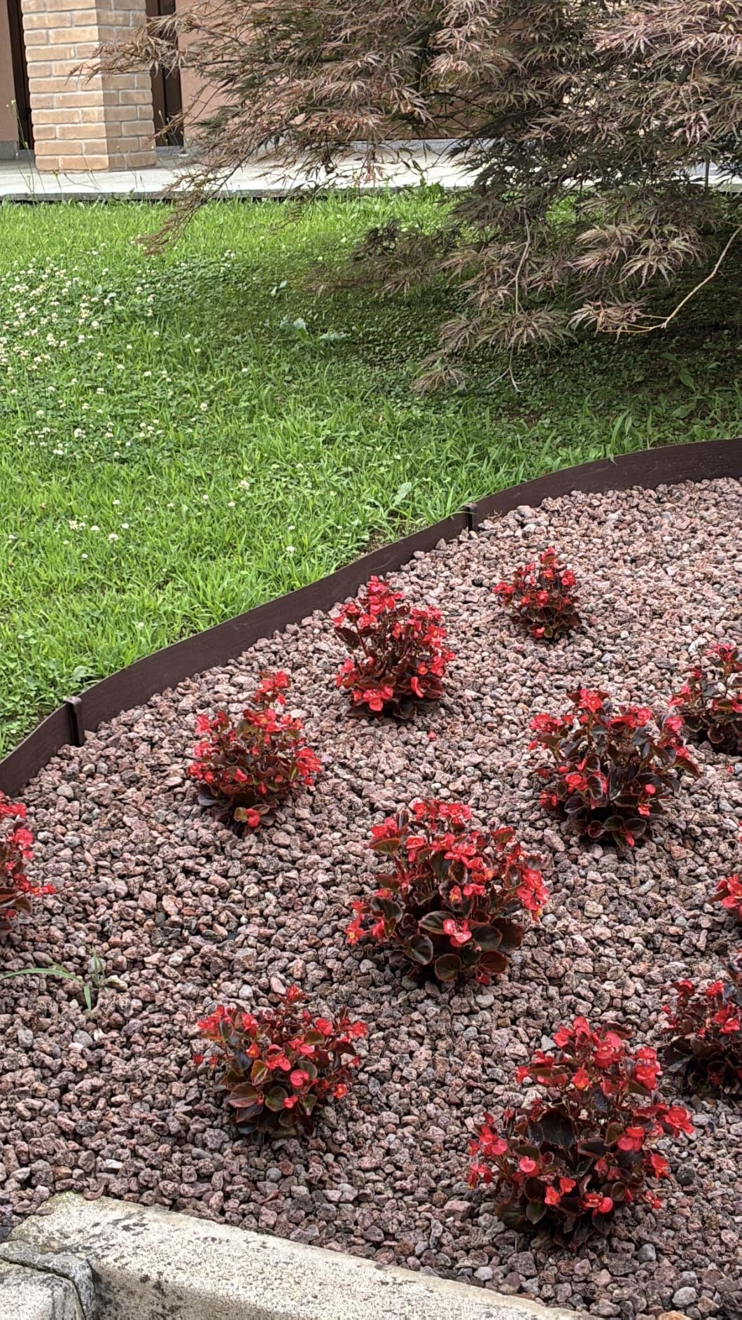 Amazon Basics bordura aiuole 8 cm x 12 m marrone 10 picchetti