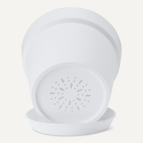 Amazon Basics vaso per piante 20,3 cm bianco con sottovaso