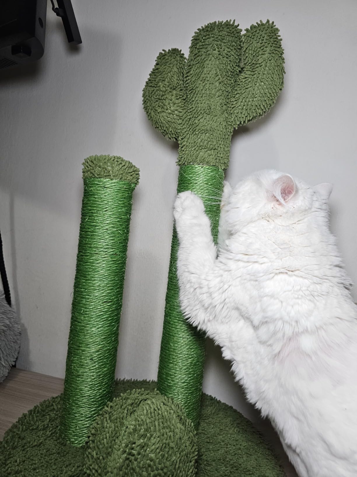 Amazon Basics Tiragraffi Cactus Grande 68 cm Verde Sisal