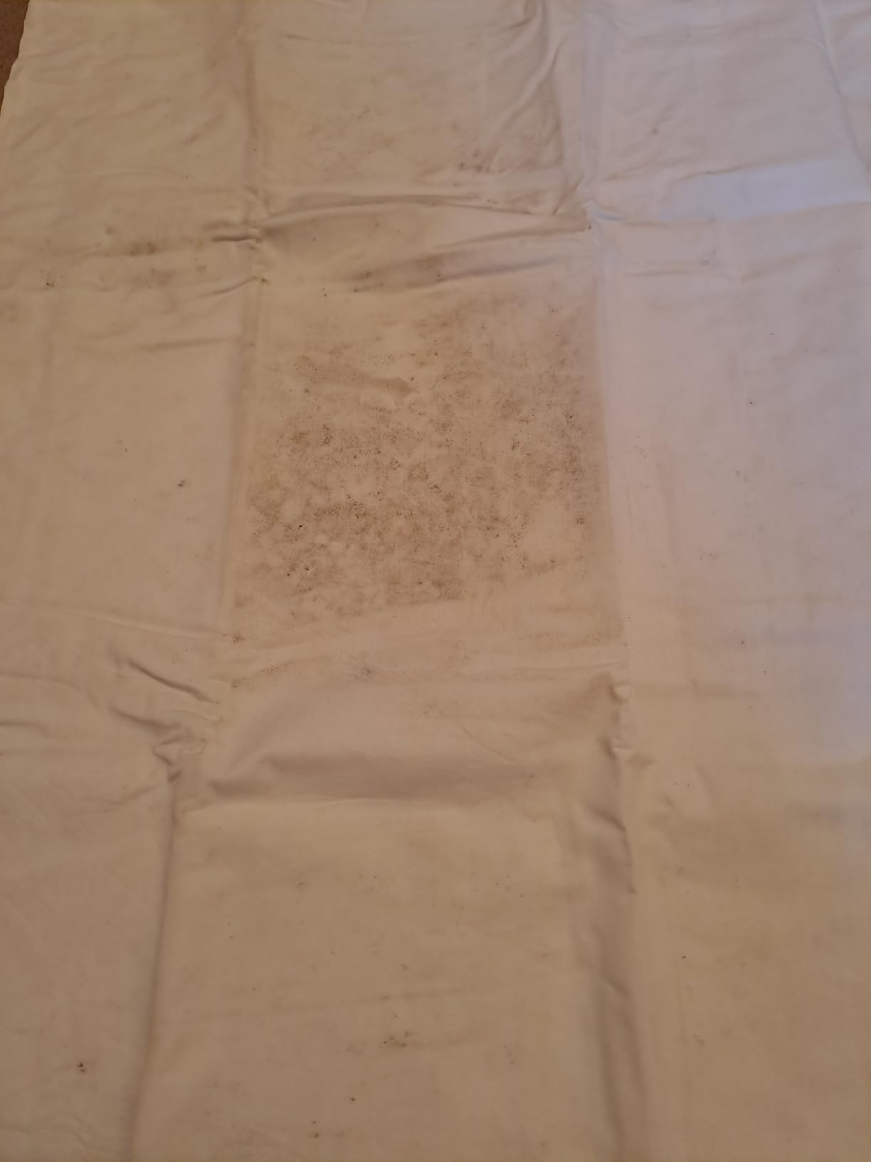 Amazon Basics Copricuscino Ipoallergenico 65x65 cm 2 Pezzi Cotone