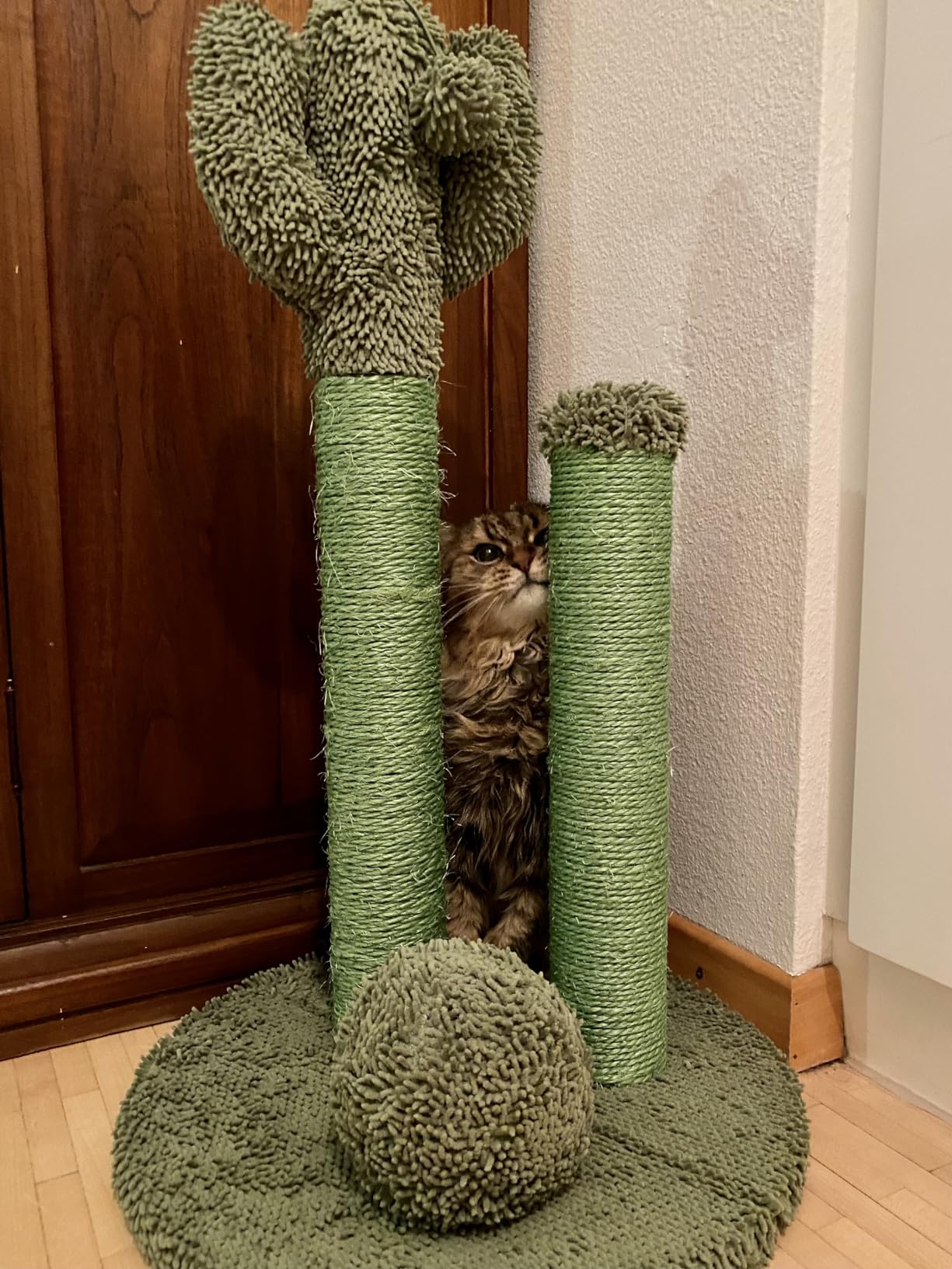 Amazon Basics Tiragraffi Cactus Grande 68 cm Verde Sisal