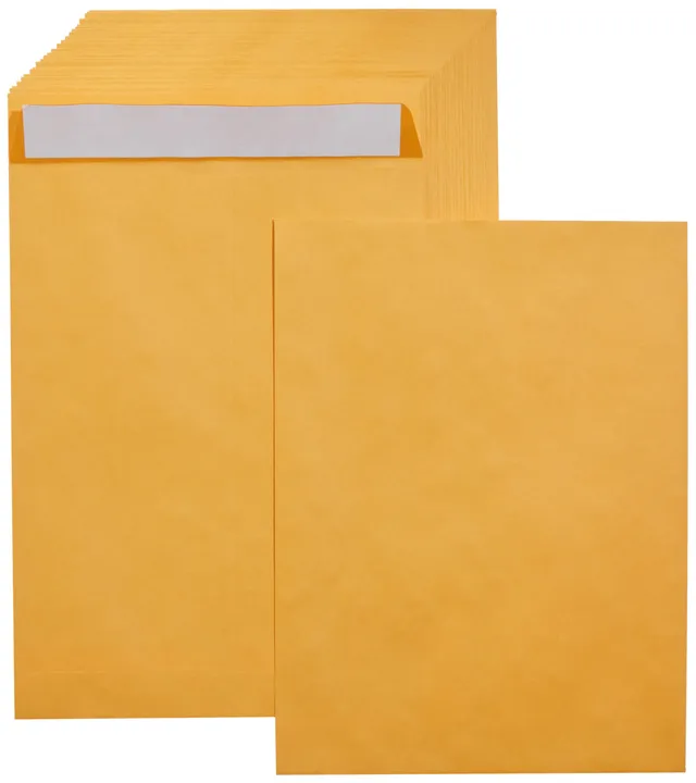 AmazonBasics Buste Catalogo Kraft Adesive 22,9x30,5cm 100 Pezzi
