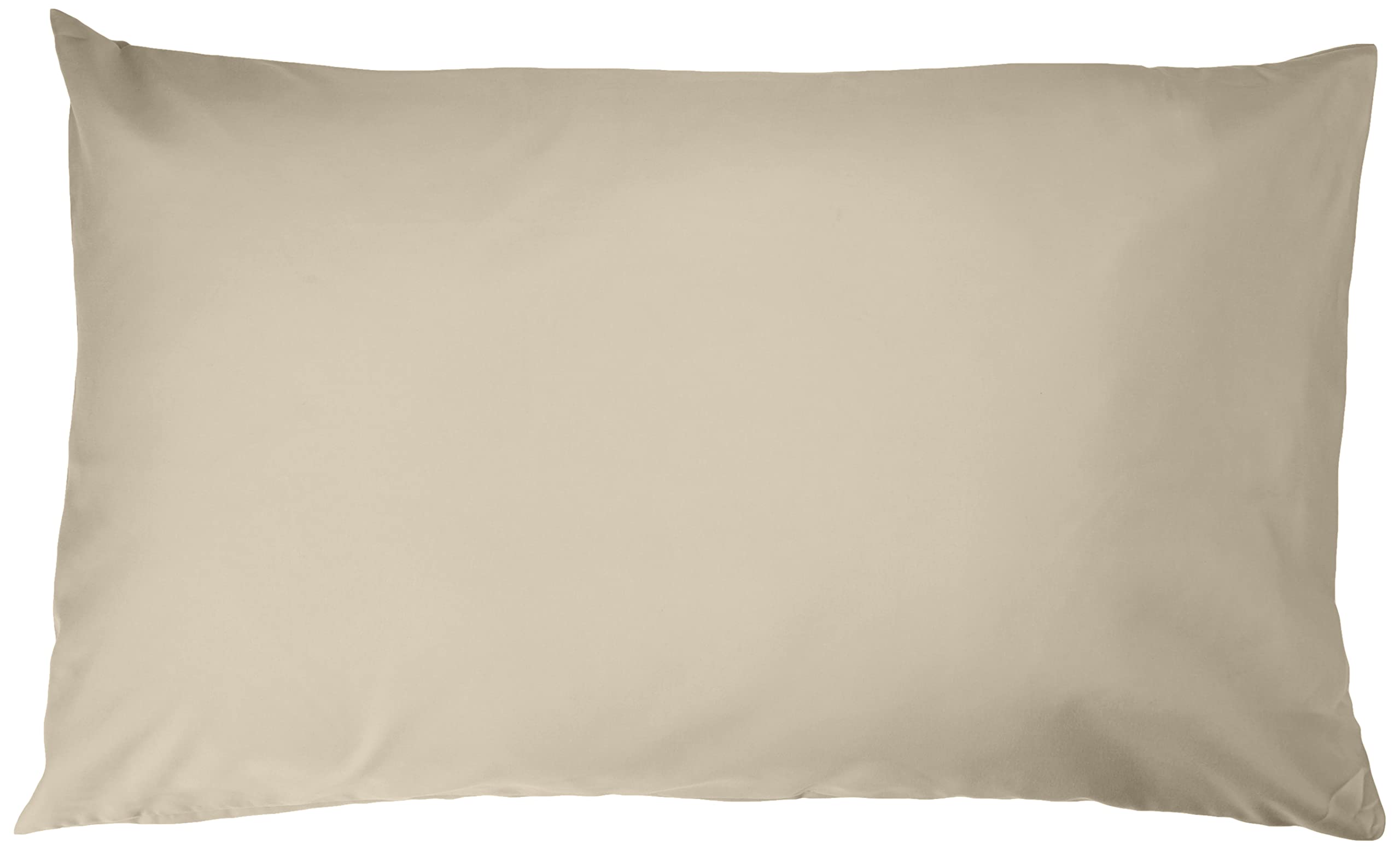 Amazon Basics Federe Microfibra 50x80 cm 2 Pezzi Grigio Scuro Antipiega