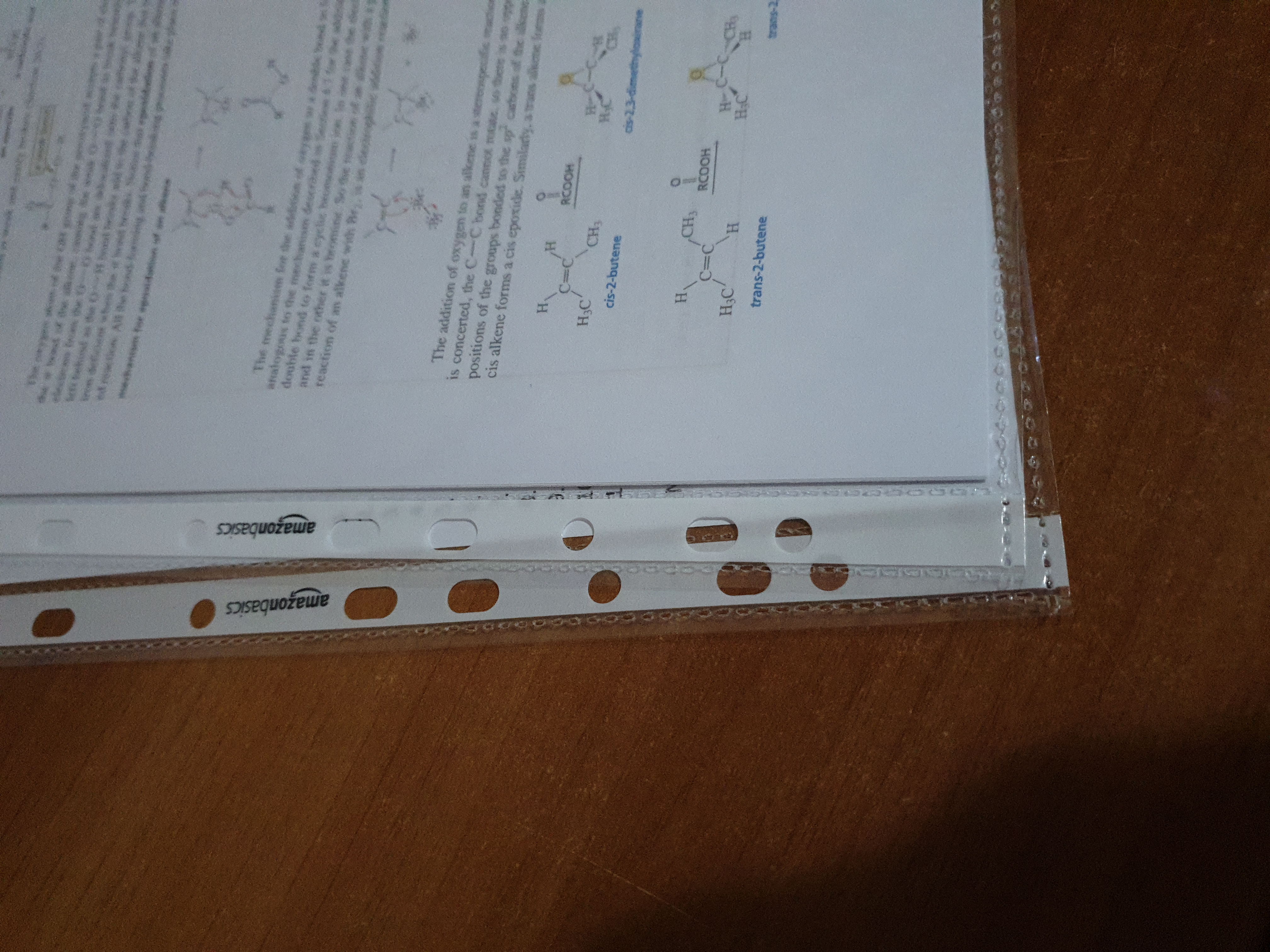 AmazonBasics Buste Forate A4 80 Micron 100 Pezzi Antiriflesso