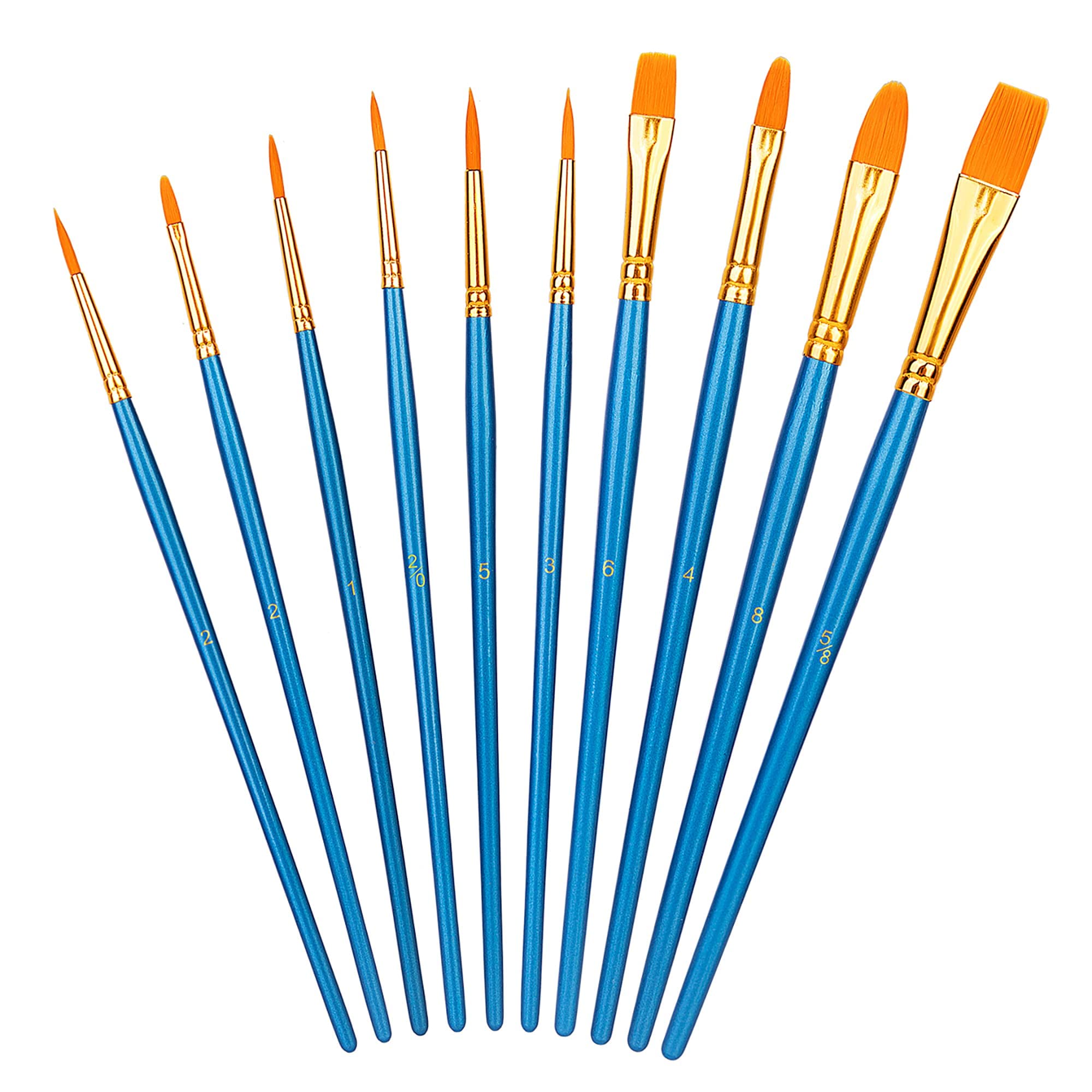 AmazonBasics Set 10 Pennelli Pittura Blu Acrilico