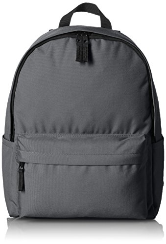 AmazonBasics Zaino Classico Grigio Leggero Set 4 Pezzi