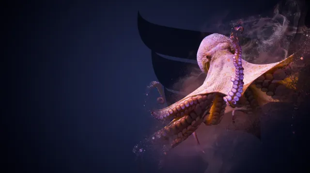 NI.VA Octopus Asset Management Software Gestione Asset